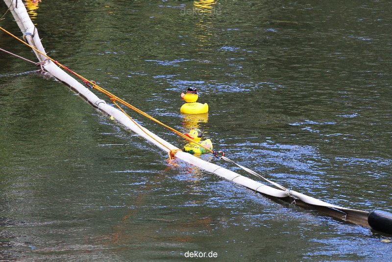 wuppertal-e400-islandufer-entenrennen1-082