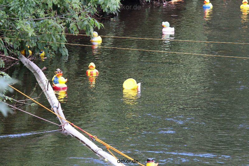 wuppertal-e400-islandufer-entenrennen1-083