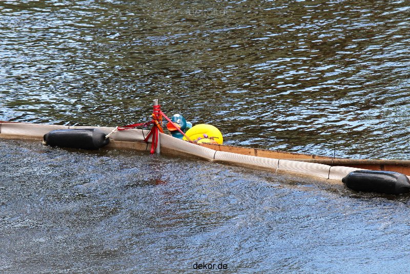 wuppertal-e400-islandufer-entenrennen1-085