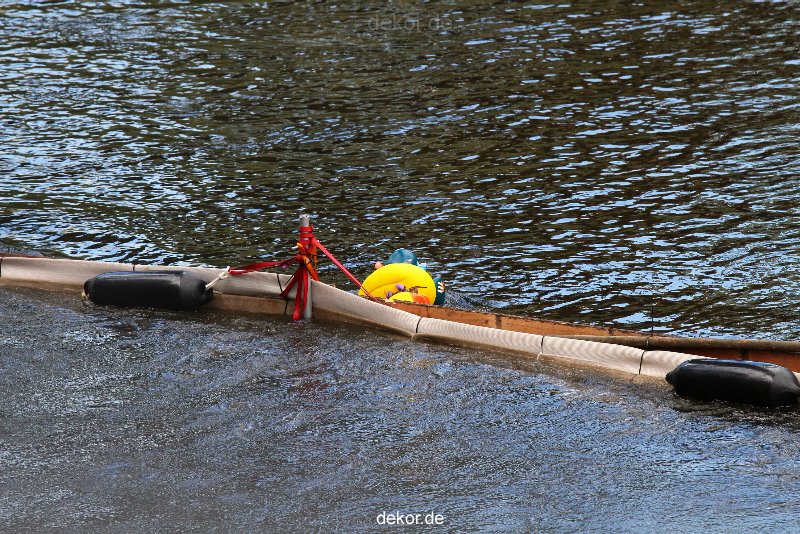 wuppertal-e400-islandufer-entenrennen1-086