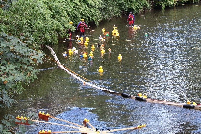 wuppertal-e400-islandufer-entenrennen1-094