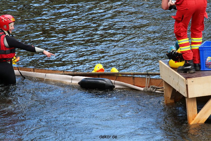 wuppertal-e400-islandufer-entenrennen1-096