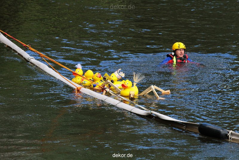 wuppertal-e400-islandufer-entenrennen1-113