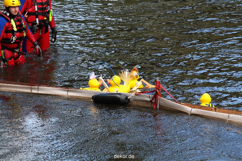 wuppertal-e400-islandufer-entenrennen1-122