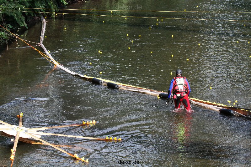 wuppertal-e400-islandufer-entenrennen2-045