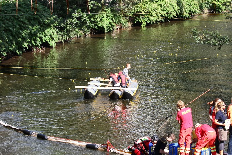 wuppertal-e400-islandufer-entenrennen2-103