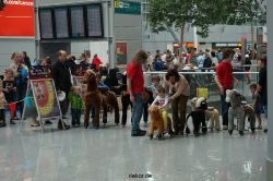 duesseldorf-luftfahrttag-2013-lustiges-kinderreiten-001