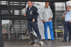 duesseldorf-luftfahrttag-2013-spuerhunde-006