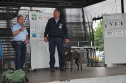 duesseldorf-luftfahrttag-2013-spuerhunde-007