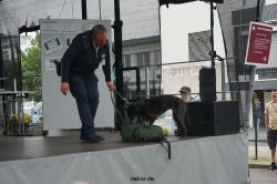 duesseldorf-luftfahrttag-2013-spuerhunde-010