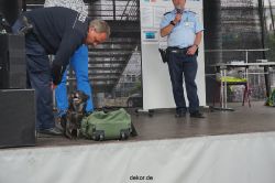 duesseldorf-luftfahrttag-2013-spuerhunde-016
