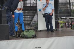 duesseldorf-luftfahrttag-2013-spuerhunde-017