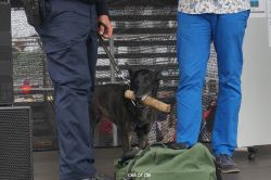 duesseldorf-luftfahrttag-2013-spuerhunde-023