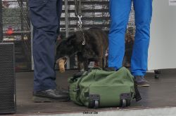 duesseldorf-luftfahrttag-2013-spuerhunde-025