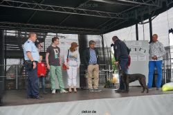duesseldorf-luftfahrttag-2013-spuerhunde-033