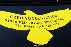 essen-gruga-greifvogelschau-2-2012-017