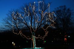 essen-gruga-parkleuchten-2011-1-011