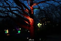 essen-gruga-parkleuchten-2011-1-013