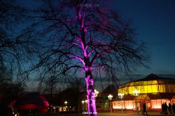 essen-gruga-parkleuchten-2011-1-042