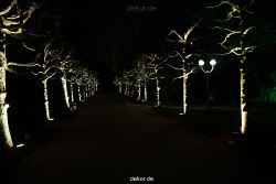 essen-gruga-parkleuchten-2011-1-189