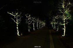essen-gruga-parkleuchten-2011-1-194