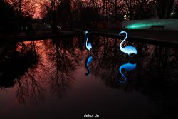 essen-gruga-parkleuchten-2011-2-016