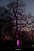 essen-gruga-parkleuchten-2011-2-033