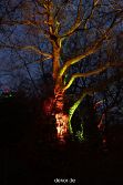 essen-gruga-parkleuchten-2011-2-037