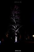 essen-gruga-parkleuchten-2012-1-047