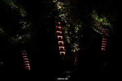 hamm-maxipark-herbstleuchten-2010-2-102