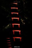 hamm-maxipark-herbstleuchten-2010-2-109