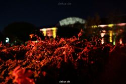 hamm-maxipark-herbstleuchten-2010-2-166