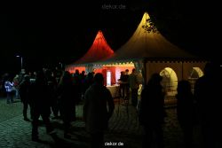 hamm-maxipark-herbstleuchten-2010-147