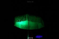 hamm-maxipark-herbstleuchten-2010-209