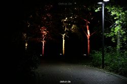 hamm-maxipark-herbstleuchten-2010-350