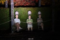 hamm-maxipark-herbstleuchten-2011-004