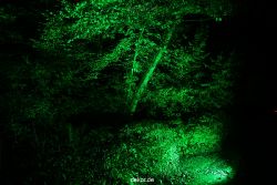 hamm-maxipark-herbstleuchten-2011-009