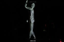 hamm-maxipark-herbstleuchten-2013-022