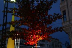 solingen-lichternacht-2012-lichter-022