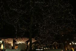 weihnachtsmaerkte-2010-duesseldorf-altstadt-abends-002