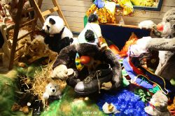 weihnachtsmaerkte-2010-duesseldorf-schaufenster-003