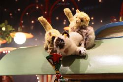 weihnachtsmaerkte-2010-duesseldorf-schaufenster-008