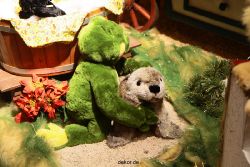 weihnachtsmaerkte-2010-duesseldorf-schaufenster-023