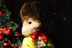 weihnachtsmaerkte-2010-duesseldorf-schaufenster-035