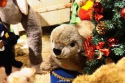 weihnachtsmaerkte-2010-duesseldorf-schaufenster-036