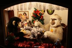 weihnachtsmaerkte-2010-duesseldorf-schaufenster-038