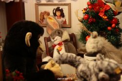 weihnachtsmaerkte-2010-duesseldorf-schaufenster-039