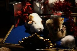 weihnachtsmaerkte-2010-duesseldorf-schaufenster-044