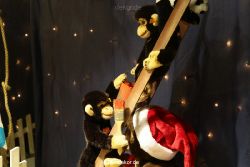weihnachtsmaerkte-2010-duesseldorf-schaufenster-048