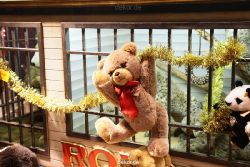 weihnachtsmaerkte-2010-duesseldorf-schaufenster-052